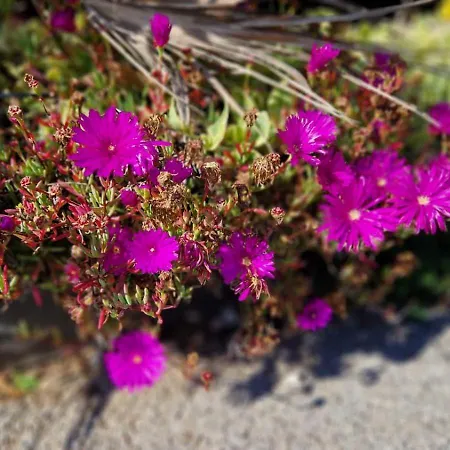 Abina-eugene Apartman *